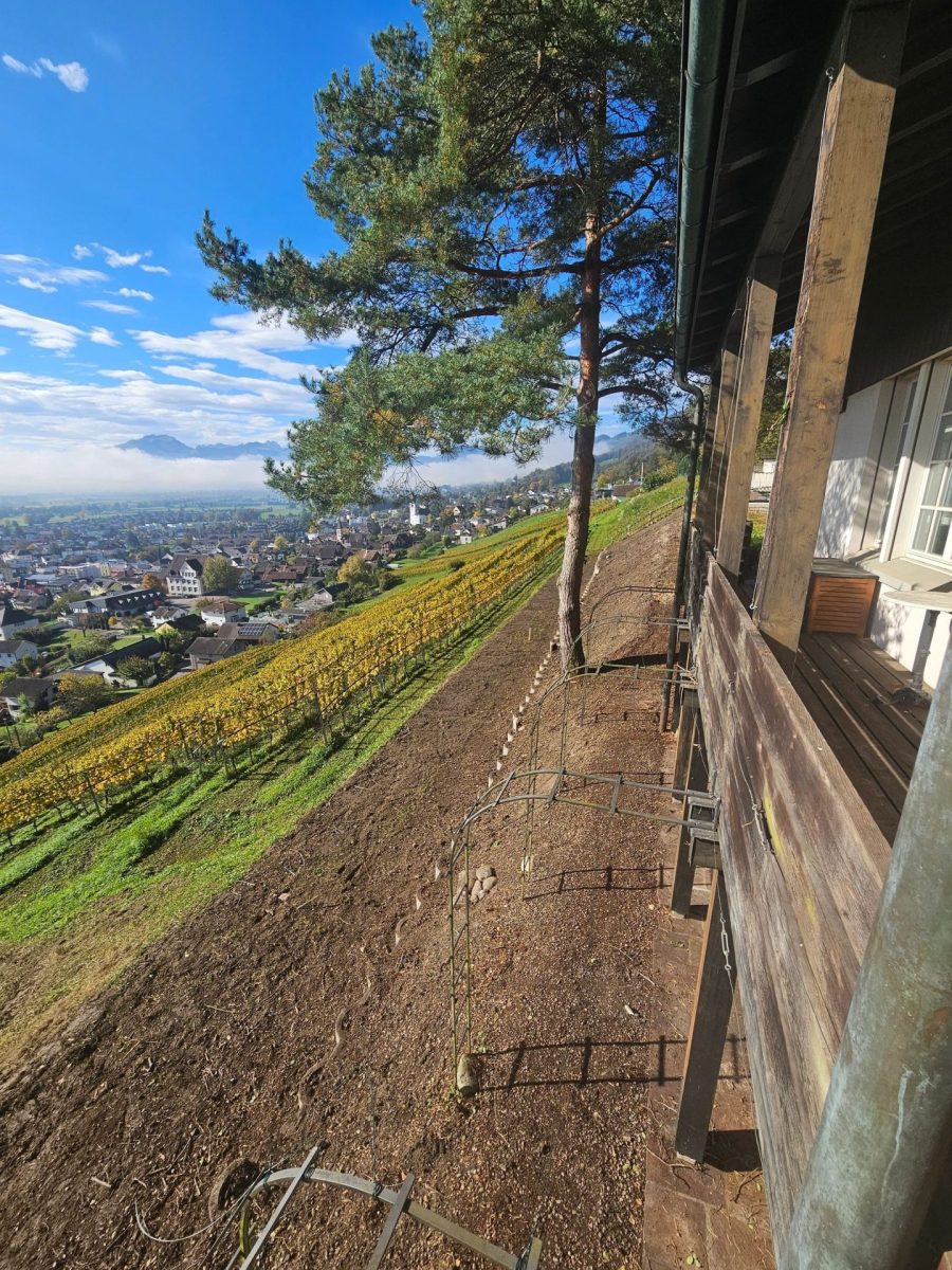 Hang neben Haus freigeräumt; Erdarbeiten mit Blick über Stadt