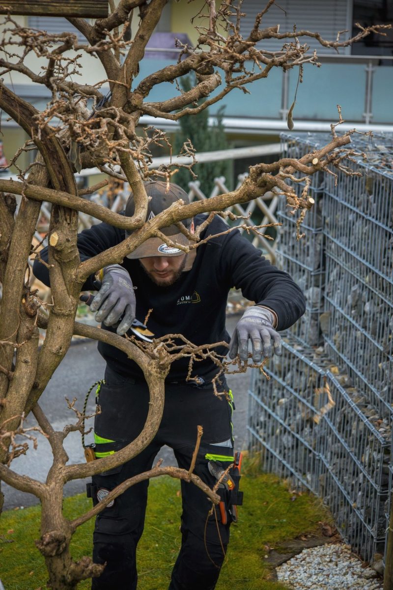 Silvan Zürn bei der Gartenpflege eines Baums